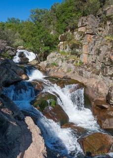 Wild-looking waterfall over rocks and surrounded by forest, dynamic water movement, Cascada del