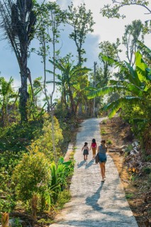 Footpath, jungle, woman, children, family, excursion, hike, pedestrian, person, palm trees, forest,
