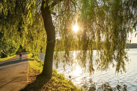 Cycling on Lake Baldeney, around 14 kilometres around the Ruhr reservoir, summer evening on the