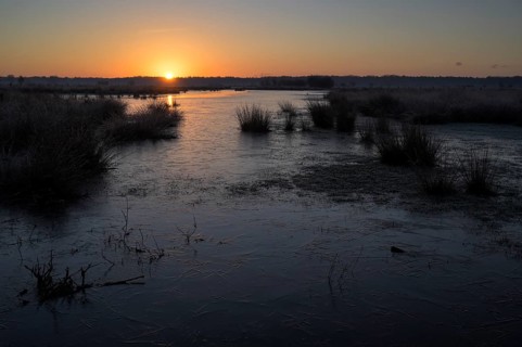 Blänke on a wet meadow, at frost, sunrise, morning, NSG Dingdener Heide, North Rhine-Westphalia,