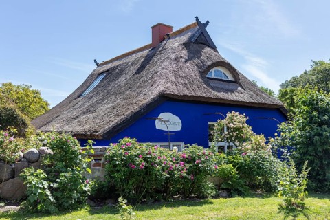 Charming house with thatched roof and blue façade, surrounded by flowering garden, Rügen, Hiddensee