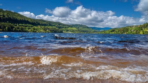 Landscape, Nature, Lake, Titisee, Black Forest, Germany, Europe