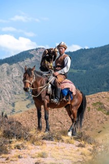 Traditional Kyrgyz eagle hunter with eagle in the mountains, hunting on horseback in front of dry