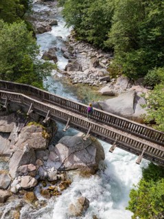 A hiker crosses a wooden bridge in a forest with a raging river flowing underneath, Zillertal,