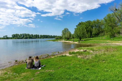 Urdenbachen Kämpe nature reserve, Lower Rhine cultural landscape with pollarded willows, fruit