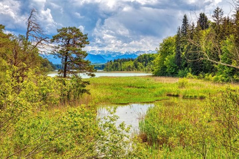 Lake surrounded by trees and mountains, with clouds in the sky and green landscape, Easter Lakes