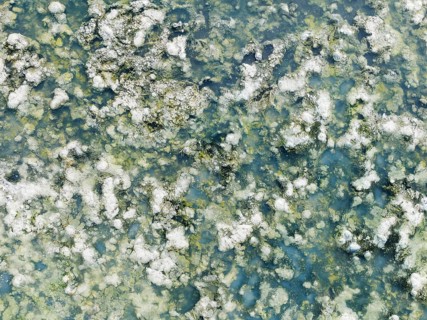 Detail of salt marshes near Sanlúcar de Barrameda. Aerial view. Drone shot. Cádiz province,