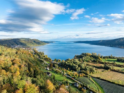 Aerial view of the Stockach Aach estuary with autumnal vegetation at the north-west bay of Lake