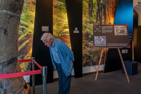 Elderly visitor in the be-MINE Mijnmuseum, coal mine museum in the city Beringen, Koersel, province