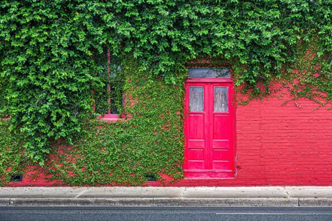 Ivy covered bright red brick wall with bright red door in downtown Green Cove Springs, Florida,