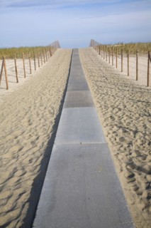 Sand dunes, Hook of Holland, Holland