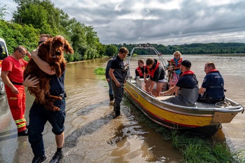 High water on the Ruhr, after long heavy rainfall the river came out of its bed and flooded the