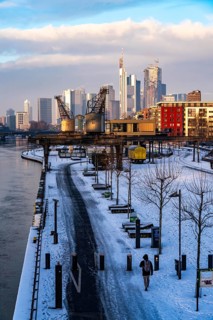 The skyline of Frankfurt am Main, skyscrapers of the banking district, historic harbour cranes at