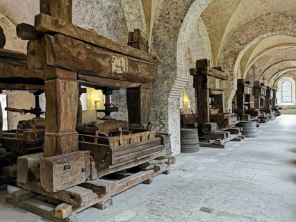 Lay refectory, exhibition of historical wine presses from the period 1668 to 1801, Eberbach