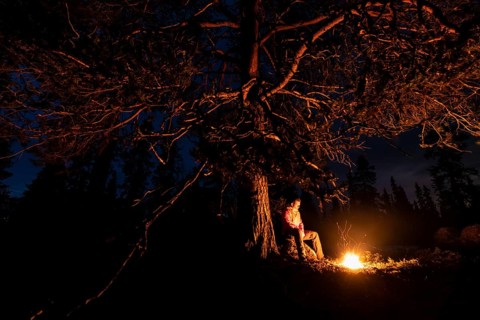 Man in the evening at a bivouac with campfire, Lapland, Sweden, Scandinavia, Europe