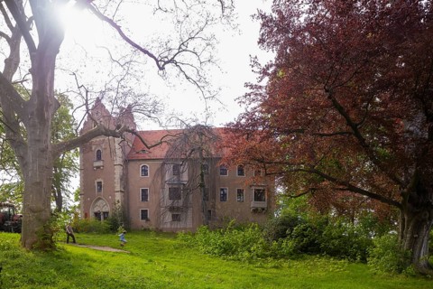 Manor and castle, Taubenheim, Saxony, Germany, Europe