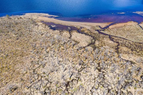 Aerial view over lake Laguna Cofre east of river Rio Murta, dead trees cover the shore, Patagonia,