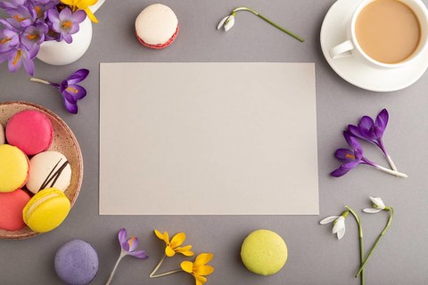 Beige paper sheet mockup with spring snowdrop crocus flowers and multicolored macaroons on gray