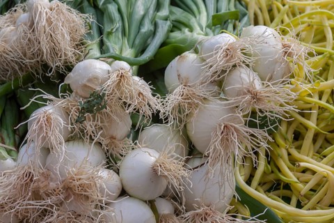 Spring onions and yellow bush beans, weekly market market, Treguier, Brittany, France, Europe