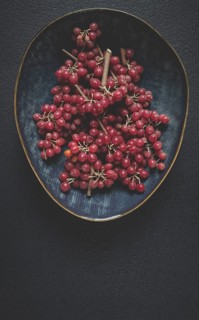 Shtoshi berry, Shepherd's pie, a hybrid of sea buckthorn and barberry, top view, no people