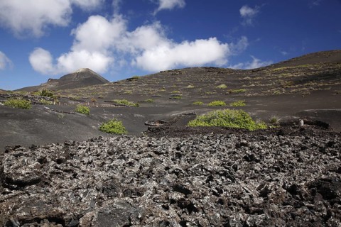 Volcanic landscape with grapevines at Lanzarote, Canary Islands, Spain, Europe