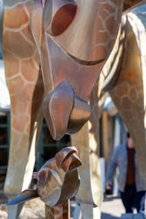 Denver, Colorado, A sculpture of a mother and baby giraffe at the Denver Zoo
