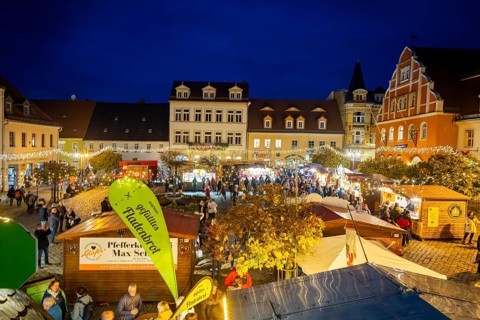 Pulsnitz Gingerbread Market, Pulsnitz, Saxony, Germany, Europe