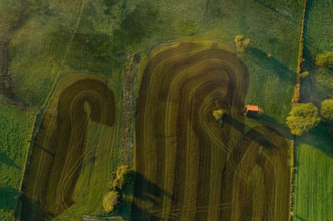 Aerial view of a meadow fertilised with liquid manure in the morning light, Alpine foothills, Upper