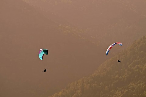 Two paragliders flying over the forest, Alsace, France, Europe