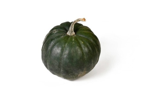 'Black Kat F1' acorn squash with dark green skin on white background