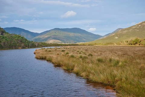 Nature landscape of the Tidal river in spring, Wilsons promontory national park, Australia, Oceania