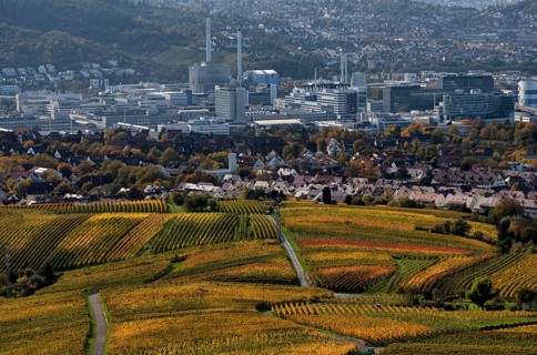 View of Daimler headquarters, Untertürkheim plant, Stuttgart, over vineyard, vines, grapevines,