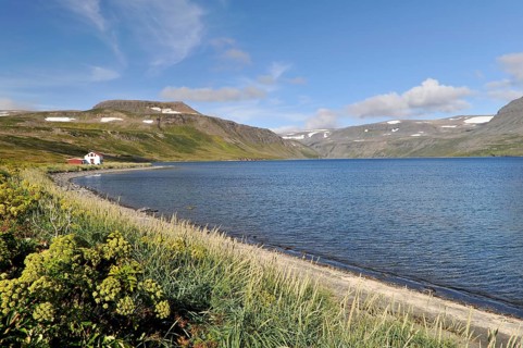 Beach, Hesteyri, Hesteyrarfjörður or Hesteyrarfjördur, Hornstrandir, Westfjords, Iceland, Europe