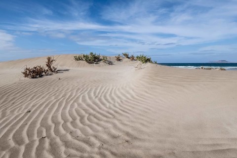 Dune landscape, Playa de Famara, Lanzarote, Canary Islands, Spain, Europe