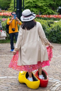 The Keukenhof, gardens, amusement park, spring park, spring flower show, near Lisse, South Holland,