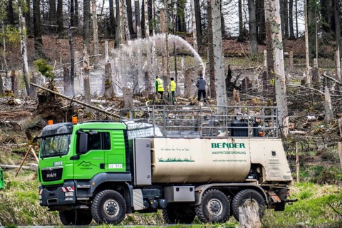 Spraying of a cleared forest area on which spruce trees infested by the bark beetle have died, thus
