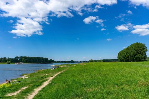 Urdenbachen Kämpe nature reserve, Lower Rhine cultural landscape with pollarded willows, fruit