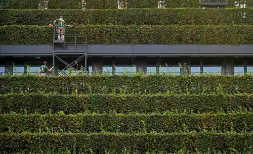 Green façade, made of over 30, 000 hornbeams forming a hedge a good 8 kilometres long, on the roof