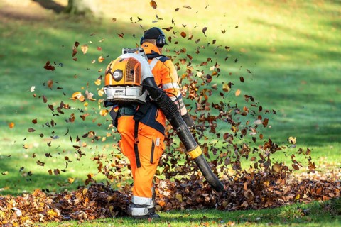 Leaf blower, removal of autumn leaves in a municipal park, Duisburg, North Rhine-Westphalia,
