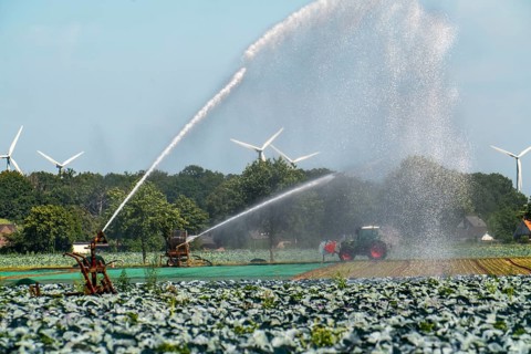 A field is artificially irrigated, water is sprayed onto the field via a sprinkler system,