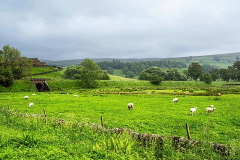 Farms over North Pennines, Cumbria, Durham, Northumberland, North Yorkshire, England, United
