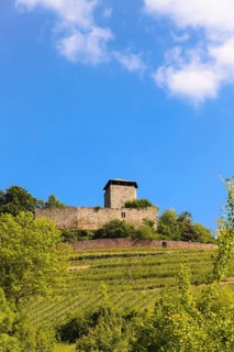 Hohenbeilstein Castle, hilltop castle, Beilstein, Heilbronn district, Baden-Württemberg, Germany,