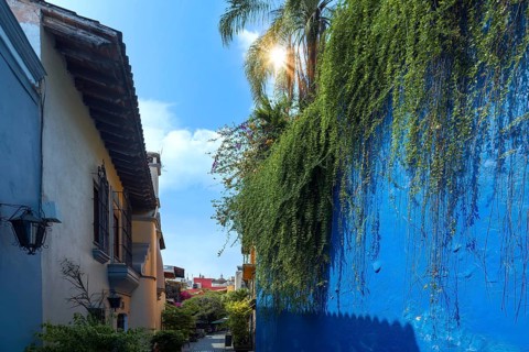Scenic colorful colonial architecture of Cuernavaca streets in historic center in Mexico Morelos