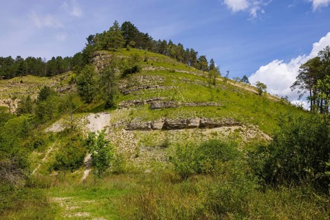 The Ohrdruf satellite camp was established in November 1944. On Hitler's orders, a new Führer