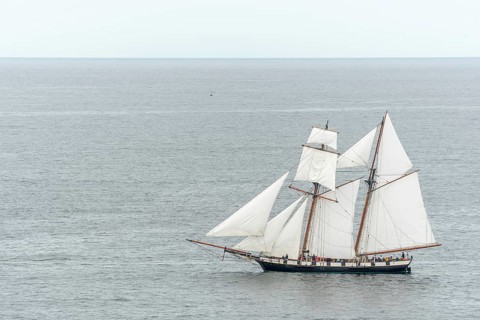 Large old traditional sailing boat in a bay on the Atlantic. Camaret sur mer, Crozon, Finistere,