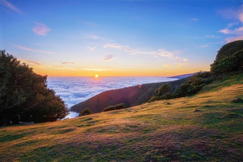 Sunrise above clouds and green hills at Fanal mountain, Madeira island, Portugal, Europe