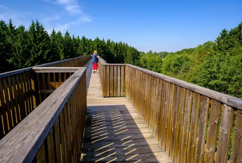 Sky ladder on the Schremser Hochmoor, municipality of Schrems, Waldviertel, Lower Austria, Austria,