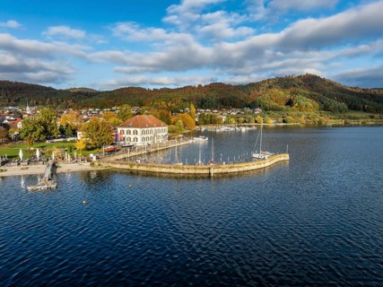 Aerial view of Lake Constance with the municipality of Bodman-Ludwigshafen with autumnal vegetation