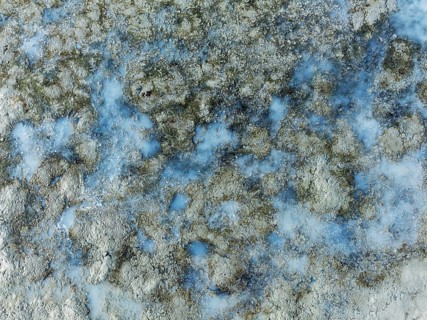 Detail of salt marshes near Sanlúcar de Barrameda. Aerial view. Drone shot. Cádiz province,