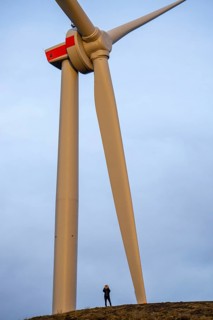 Wind turbine, by Enercon, on the Mottbruchhalde, in Gladbeck-Brauck, operated by the energy company